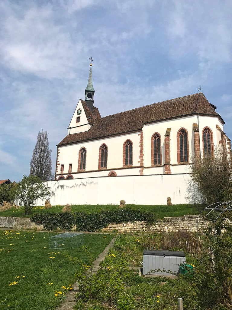 Kirche St. Chrischona ohne Kastanien im Frühling 2019 Die Kastanien waren so gross geworden, dass sie die Fassade der Kirche St. Chrischona verdeckt hatten. Ohne sie kommt die Kirche wieder besser zur Geltung.