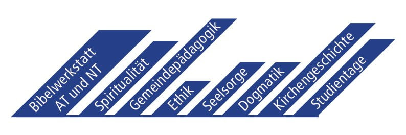 Überblick der Studienfächer im tsc-Jahreskurs