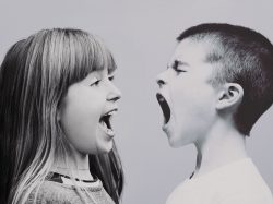 Emotionale Intelligenz: tsc-Weiterbildungsseminar mit Rahel Bidlingmaier (Symbolbild, 4zu3)