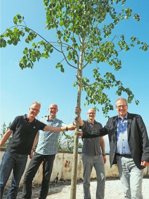 Im Sommer 2022 pflanzten tsc und die Viva Kirche Schweiz die erste Linde vor der Kirche St. Chrischona