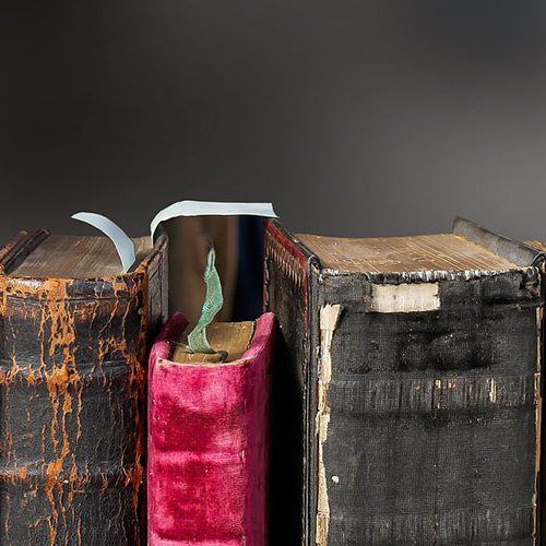 tsc-Online-Kurs: Dogmatik