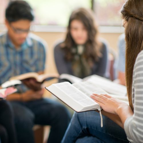 Online-Kurs: Dogmatik