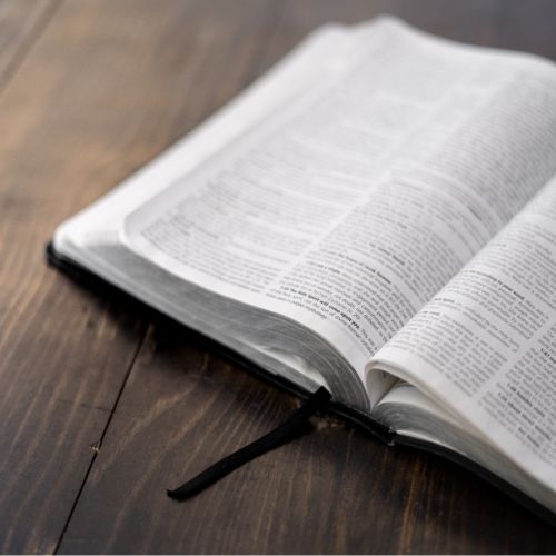 Online-Kurs: Einleitung Neues Testament