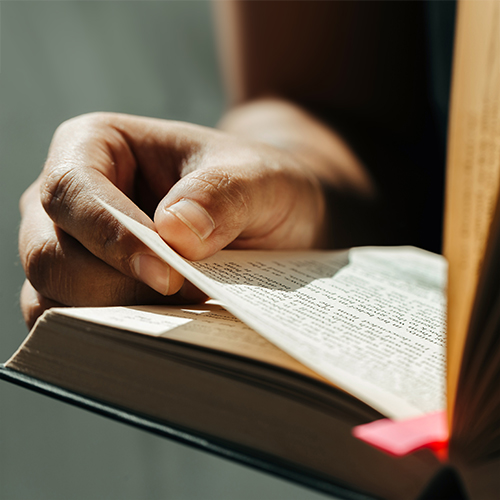 Online-Kurs: Bibelkunde Altes Testament